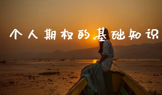 个人期权的基础知识_https://wap.ycdhulan.com_货币市场_第1张