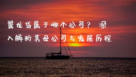 翼龙贷属于哪个公司？ 深入解析其母公司与发展历程_https://wap.ycdhulan.com_国际财经_第1张