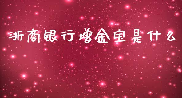 浙商银行增金宝是什么_https://wap.ycdhulan.com_投资基金_第1张