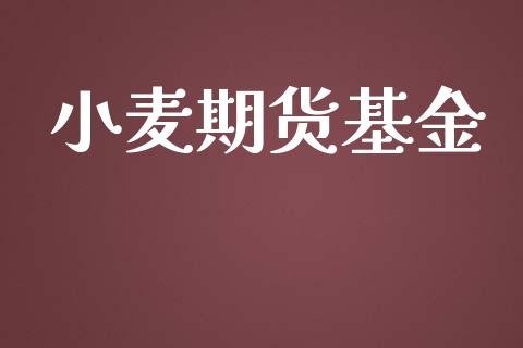 小麦期货基金_https://wap.ycdhulan.com_财务投资_第1张