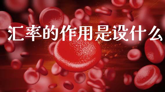 汇率的作用是设什么_https://wap.ycdhulan.com_财经新闻_第1张