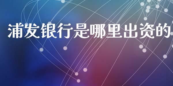 浦发银行是哪里出资的_https://wap.ycdhulan.com_投资基金_第1张