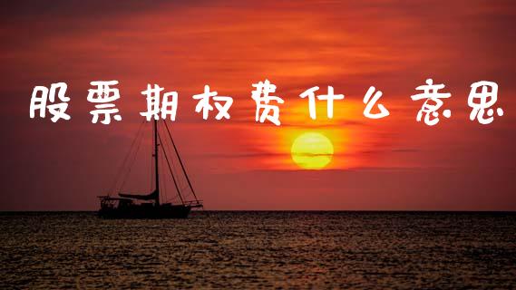 股票期权费什么意思_https://wap.ycdhulan.com_财经新闻_第1张