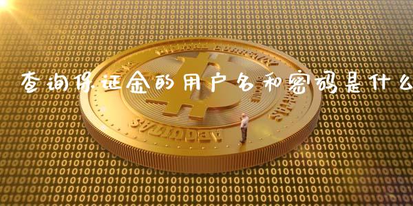 查询保证金的用户名和密码是什么_https://wap.ycdhulan.com_投资基金_第1张