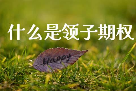 什么是领子期权_https://wap.ycdhulan.com_金融咨询_第1张