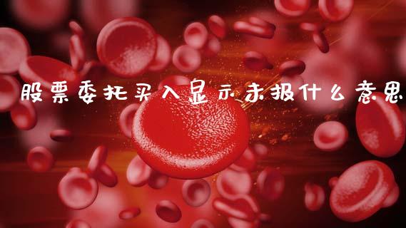 股票委托买入显示未报什么意思_https://wap.ycdhulan.com_投资基金_第1张