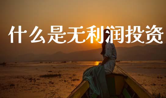 什么是无利润投资_https://wap.ycdhulan.com_投资基金_第1张