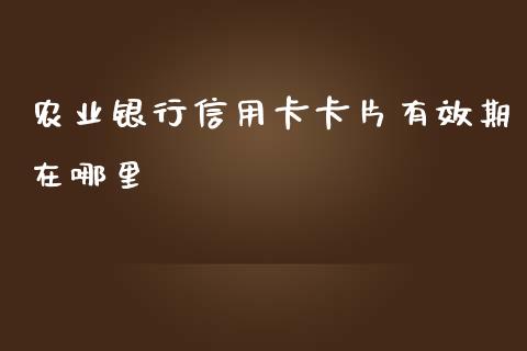 农业银行信用卡卡片有效期在哪里_https://wap.ycdhulan.com_投资基金_第1张