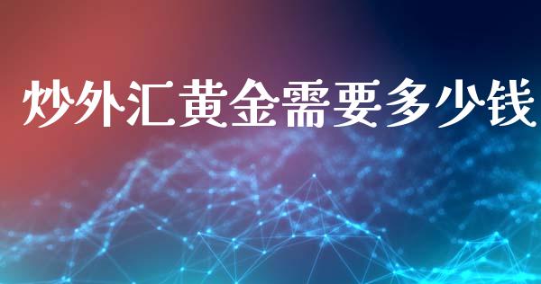 炒外汇黄金需要多少钱_https://wap.ycdhulan.com_金融咨询_第1张