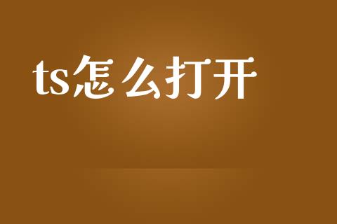 ts怎么打开_https://wap.ycdhulan.com_金融咨询_第1张