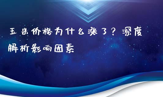 玉米价格为什么涨了？深度解析影响因素_https://wap.ycdhulan.com_投资基金_第1张