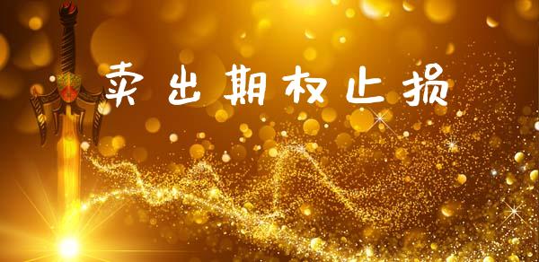卖出期权止损_https://wap.ycdhulan.com_国际财经_第1张