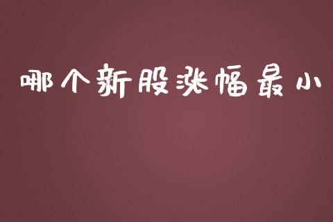 哪个新股涨幅最小_https://wap.ycdhulan.com_金融咨询_第1张