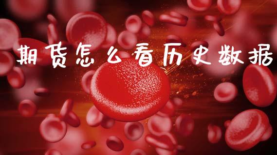 期货怎么看历史数据_https://wap.ycdhulan.com_货币市场_第1张