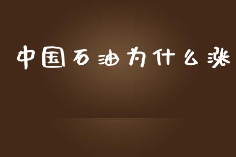中国石油为什么涨_https://wap.ycdhulan.com_国际财经_第1张