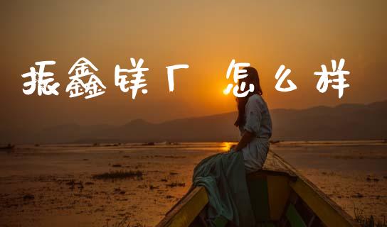 振鑫镁厂 怎么样_https://wap.ycdhulan.com_金融咨询_第1张