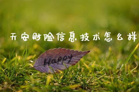 天安财险信息技术怎么样_https://wap.ycdhulan.com_金融咨询_第1张