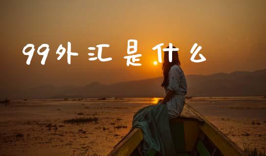 99外汇是什么_https://wap.ycdhulan.com_国际财经_第1张