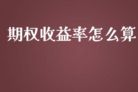 期权收益率怎么算_https://wap.ycdhulan.com_财务投资_第1张