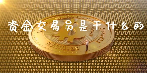 资金交易员是干什么的_https://wap.ycdhulan.com_投资基金_第1张