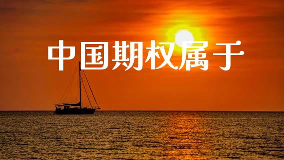 中国期权属于_https://wap.ycdhulan.com_财经新闻_第1张