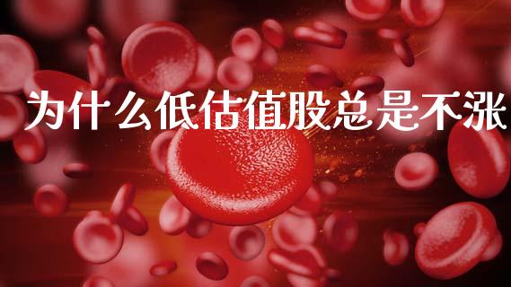 为什么低估值股总是不涨_https://wap.ycdhulan.com_金融咨询_第1张