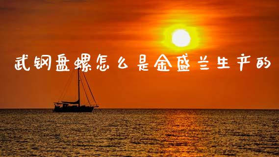 武钢盘螺怎么是金盛兰生产的_https://wap.ycdhulan.com_金融咨询_第1张