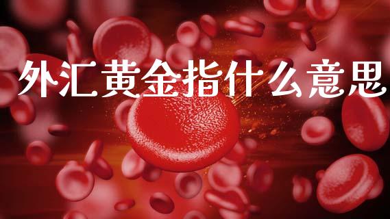 外汇黄金指什么意思_https://wap.ycdhulan.com_金融咨询_第1张