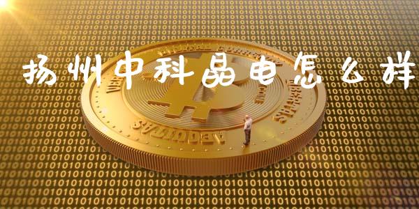 扬州中科晶电怎么样_https://wap.ycdhulan.com_国际财经_第1张