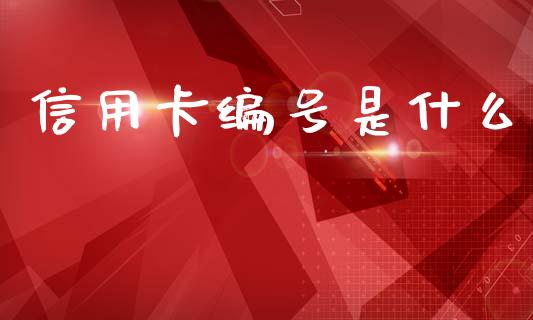信用卡编号是什么_https://wap.ycdhulan.com_财经新闻_第1张