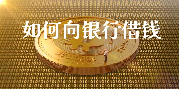 如何向银行借钱_https://wap.ycdhulan.com_货币市场_第1张