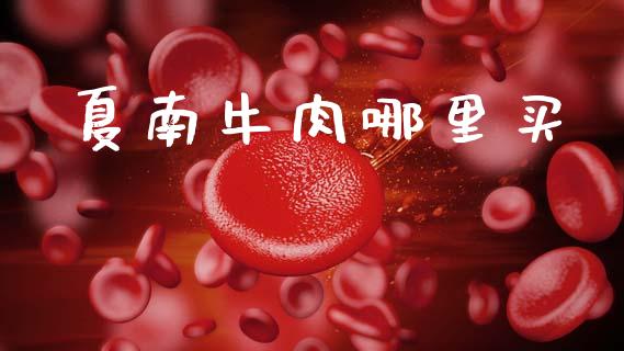 夏南牛肉哪里买_https://wap.ycdhulan.com_金融咨询_第1张