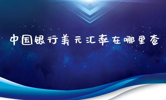 中国银行美元汇率在哪里查_https://wap.ycdhulan.com_投资基金_第1张