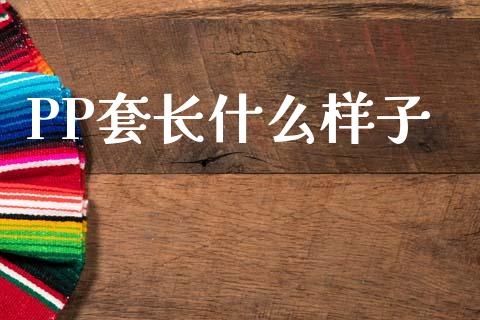 PP套长什么样子_https://wap.ycdhulan.com_货币市场_第1张