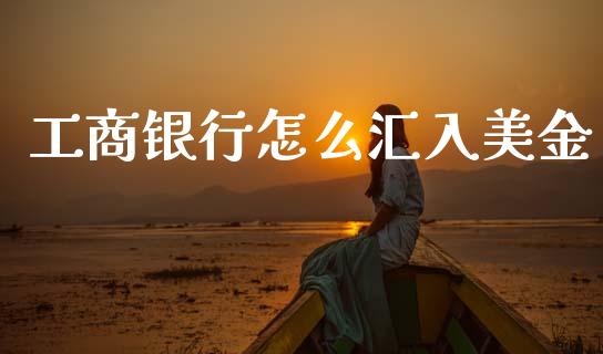 工商银行怎么汇入美金_https://wap.ycdhulan.com_投资基金_第1张
