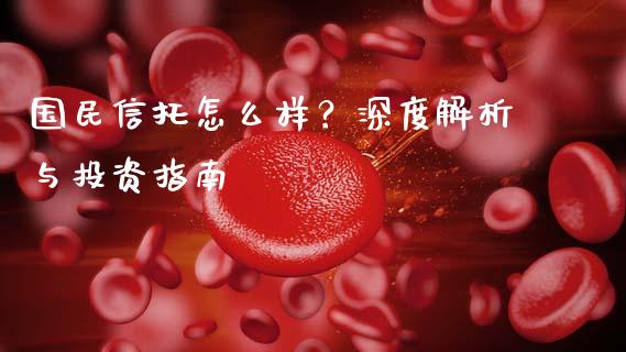 国民信托怎么样？深度解析与投资指南_https://wap.ycdhulan.com_财务投资_第1张