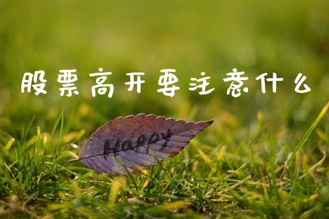 股票高开要注意什么_https://wap.ycdhulan.com_财务投资_第1张