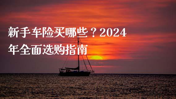 新手车险买哪些?2024年全面选购指南_财经新闻_第1张_国际财经_财经新闻_财务投资_金融咨询_货币市场_投资基金 新手车险买哪些?2024年全面选购指南_https://wap.ycdhulan.com_财经新闻_第1张