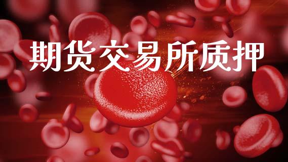期货交易所质押_https://wap.ycdhulan.com_金融咨询_第1张