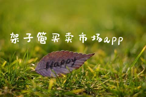 架子管买卖市场app_https://wap.ycdhulan.com_货币市场_第1张