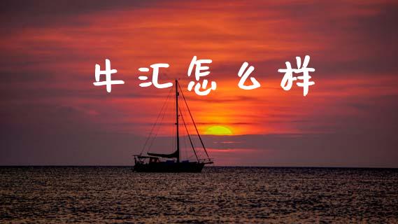 牛汇怎么样_https://wap.ycdhulan.com_货币市场_第1张