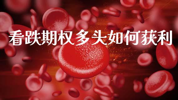 看跌期权多头如何获利_https://wap.ycdhulan.com_财务投资_第1张