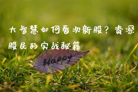 大智慧如何看次新股?资深股民的实战秘籍_金融咨询_第1张_国际财经_财经新闻_财务投资_金融咨询_货币市场_投资基金 大智慧如何看次新股?资深股民的实战秘籍_https://wap.ycdhulan.com_金融咨询_第1张
