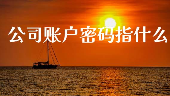 公司账户密码指什么_https://wap.ycdhulan.com_金融咨询_第1张