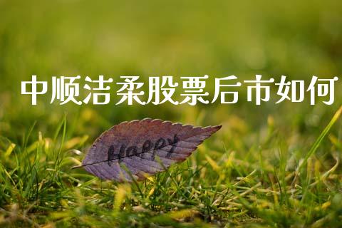 中顺洁柔股票后市如何_https://wap.ycdhulan.com_财务投资_第1张