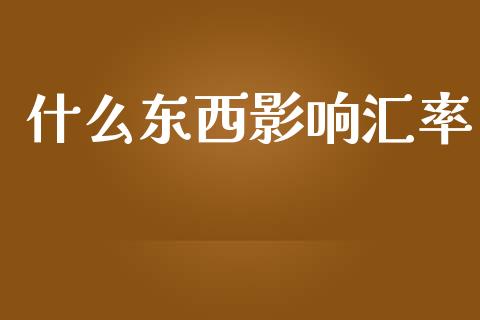 什么东西影响汇率_https://wap.ycdhulan.com_投资基金_第1张