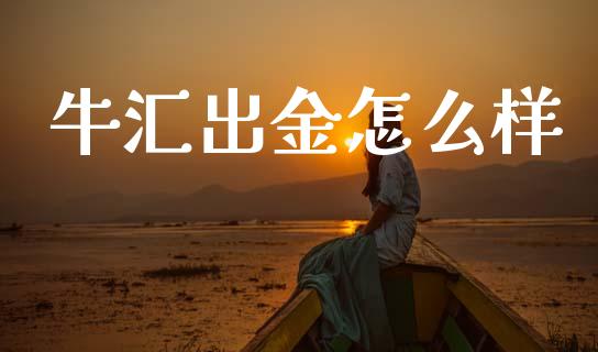 牛汇出金怎么样_https://wap.ycdhulan.com_投资基金_第1张