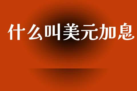 什么叫美元加息_https://wap.ycdhulan.com_财务投资_第1张