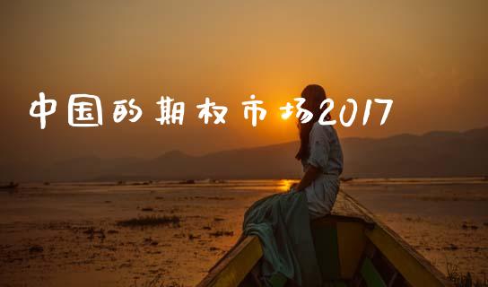 中国的期权市场2017_https://wap.ycdhulan.com_财务投资_第1张