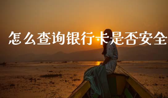 怎么查询银行卡是否安全_https://wap.ycdhulan.com_货币市场_第1张